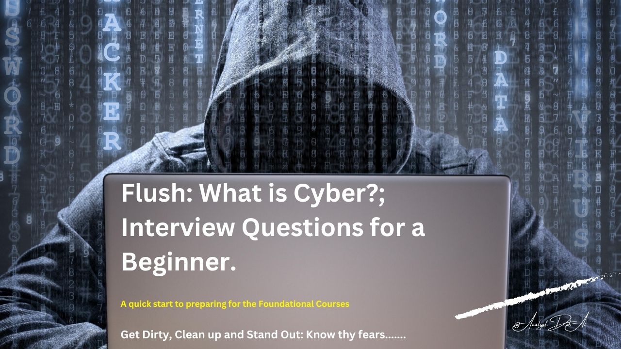Flush: What is Cyber?; 100 Interview Questions for a Beginner (with explanatory Answers).